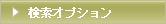 Search option
